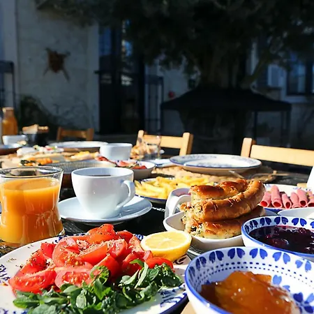 Albatross ألاتشاتي