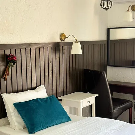 فندق Albatross *