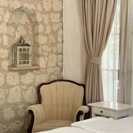 Albatross ألاتشاتي