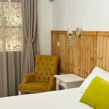 Albatross ألاتشاتي