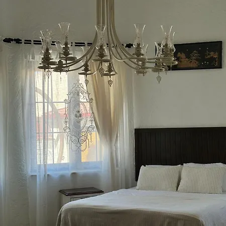 Albatross ألاتشاتي