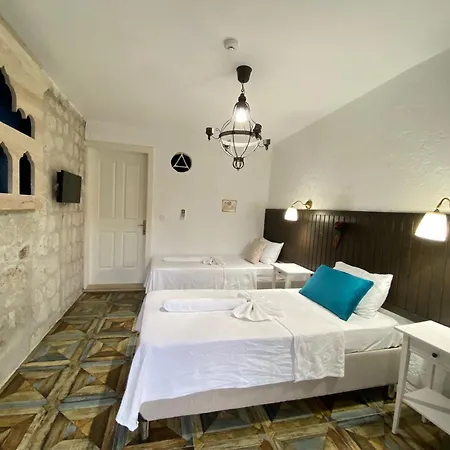 Albatross ألاتشاتي