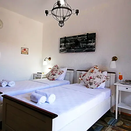 Albatross *