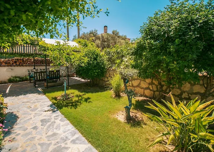 Albatross * Alaçatı